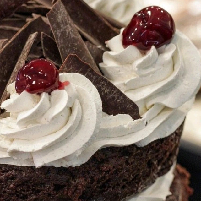 Forêt Noire 10 personnes