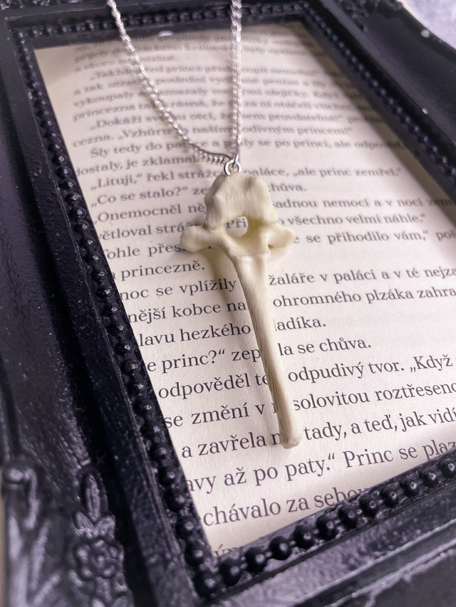 Náhrdelník vertebrae řetízek