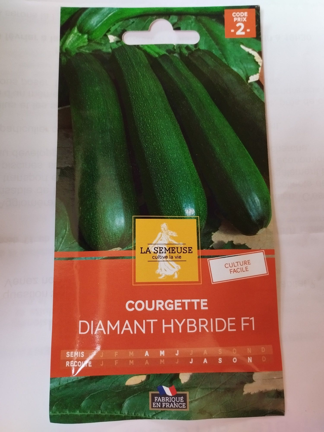 Courgette Diamant hybride F1