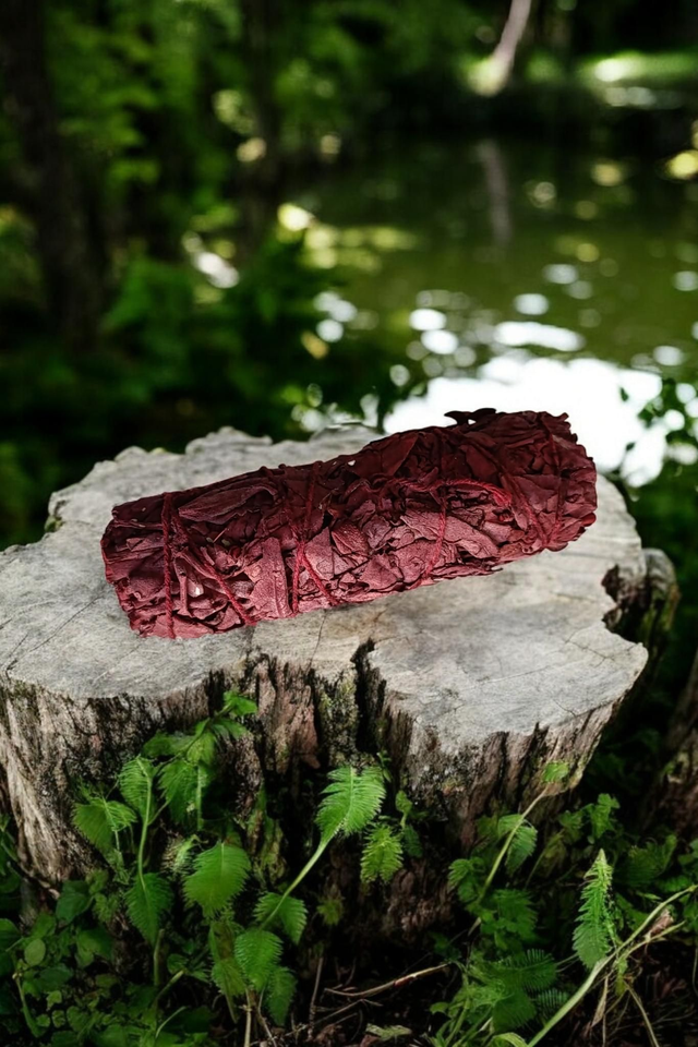 Bâton de sauge blanche/sang de dragon - Protection•Ancrage•Intention