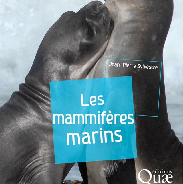 Les mammifères marins