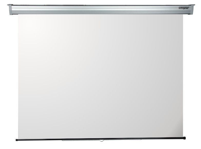 schermo manuale platinum 220x165 - tela bianca