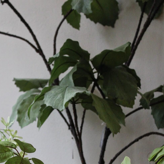 Silk-Ka Tak Blad Groen