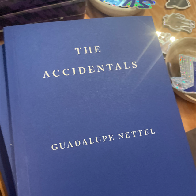 Accidentals Guadalupe Nettel