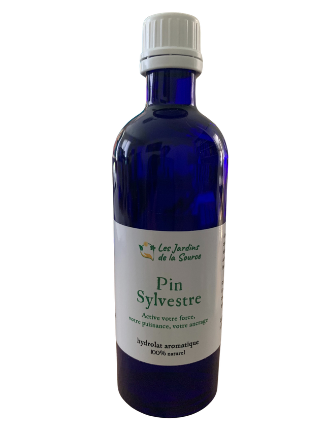 Hydrolat Pin Sylvestre