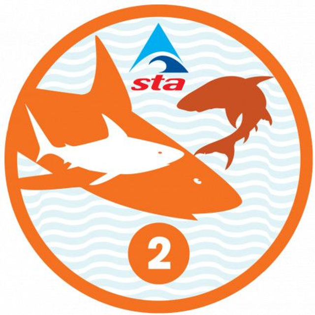 Shark 2 - Certificate with Badge