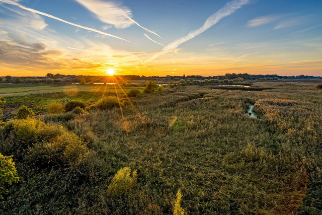 Sonnenuntergang in den Rieselfeldern