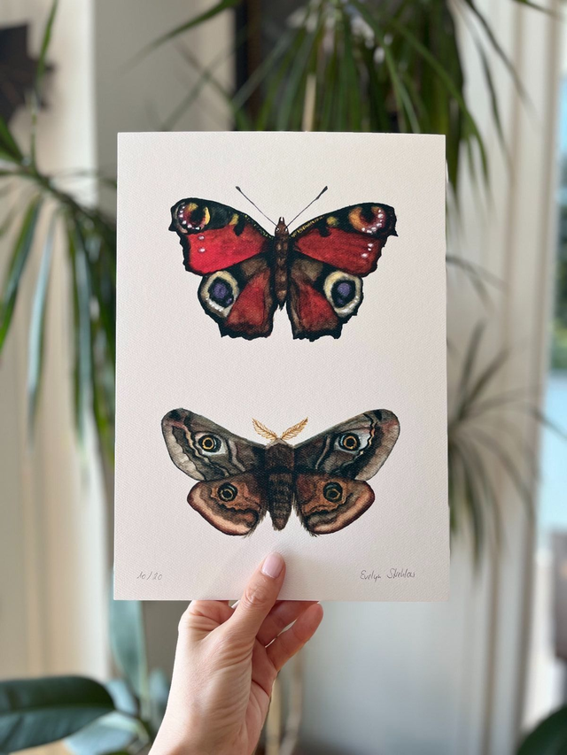 Kunstdruck A4 "Schmetterlinge"