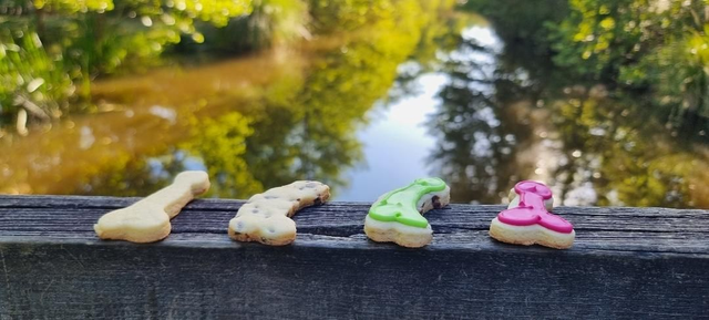 Bitscuits mixte 180 gr