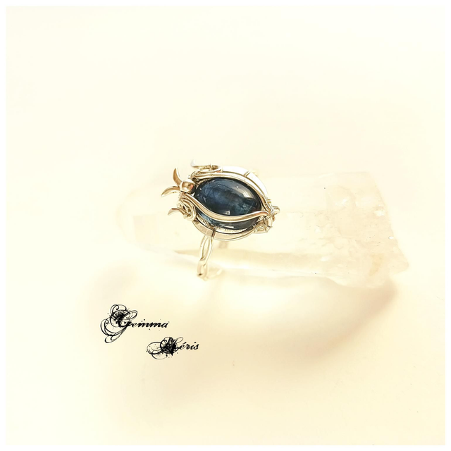 Neptune - ou l'hommage à la nature impétueuse T 62