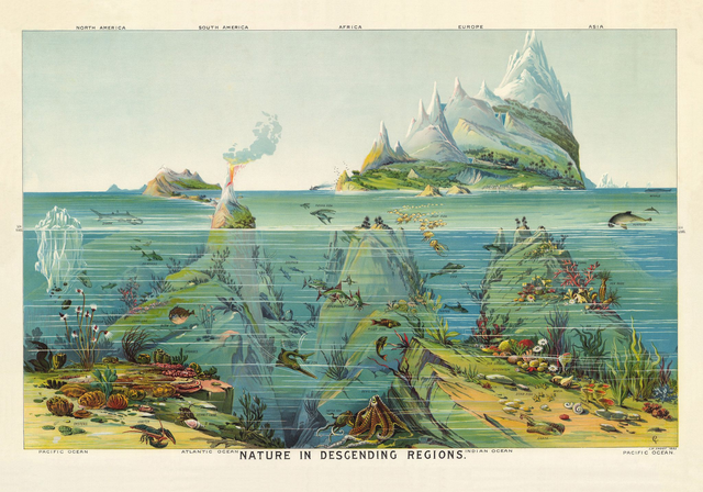 Nature in descending regions