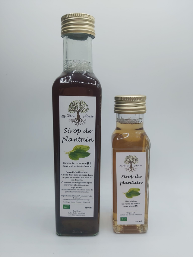 Sirop de plantain 100 ml