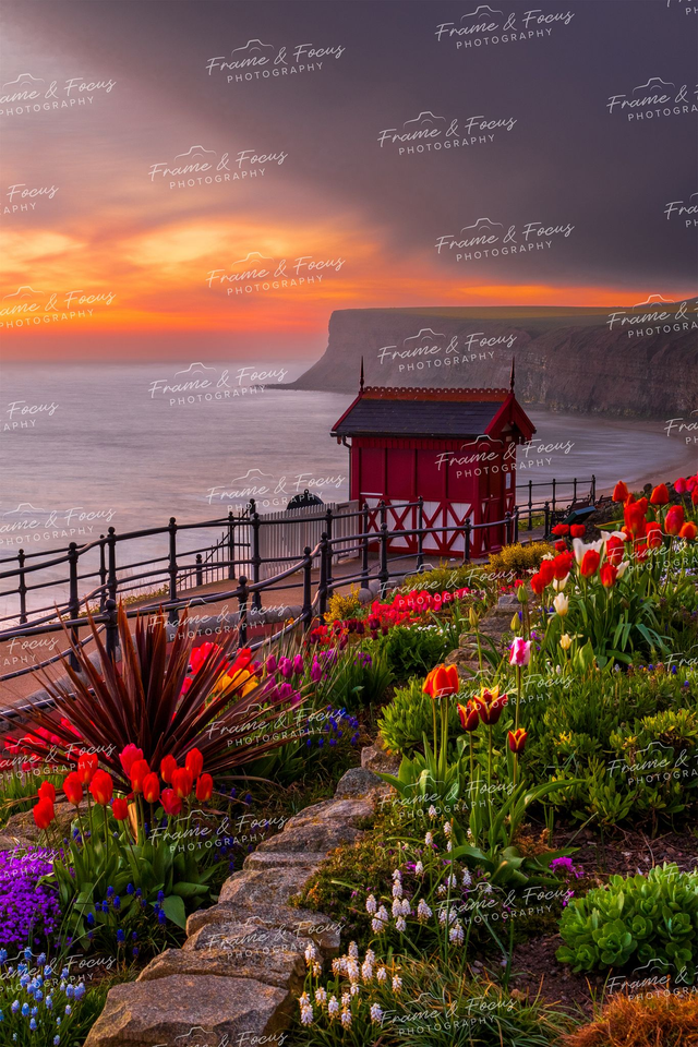 A Moody Sunrise At The Fossil Garden, Saltburn