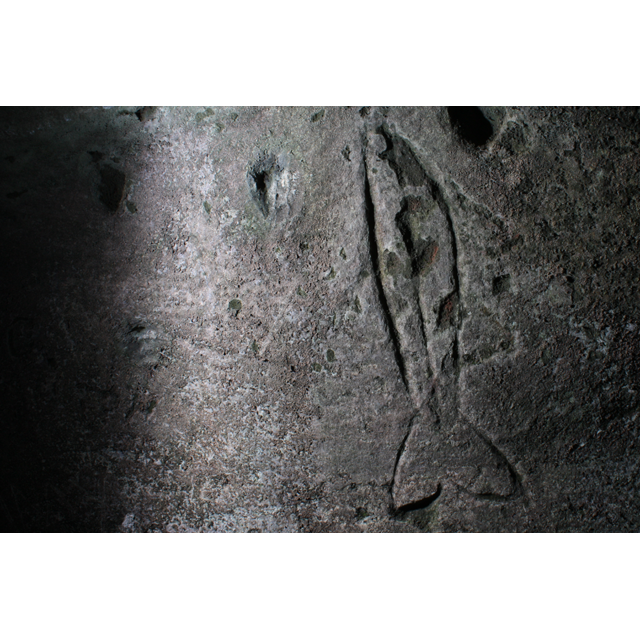 Pictish Fish in Jonathan&#039;s Cave