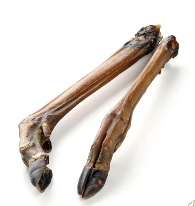 Reh Unterbein, getrocknet - 5 Stück