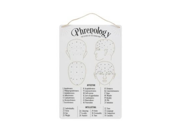 Phrenology Metal Sign