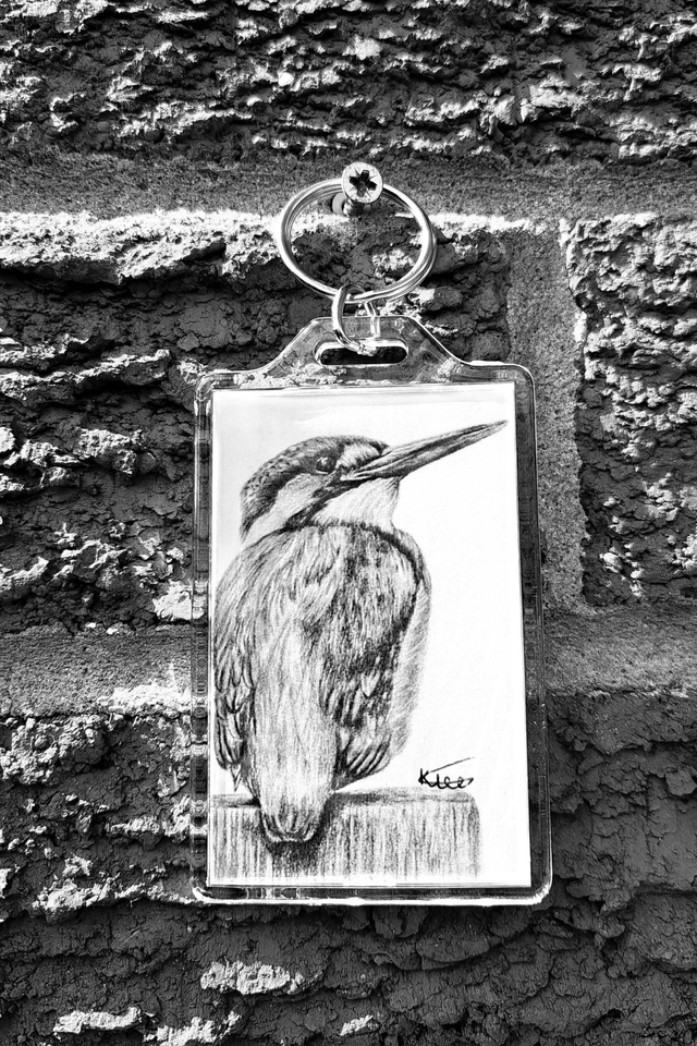 Kingfisher Keyring 