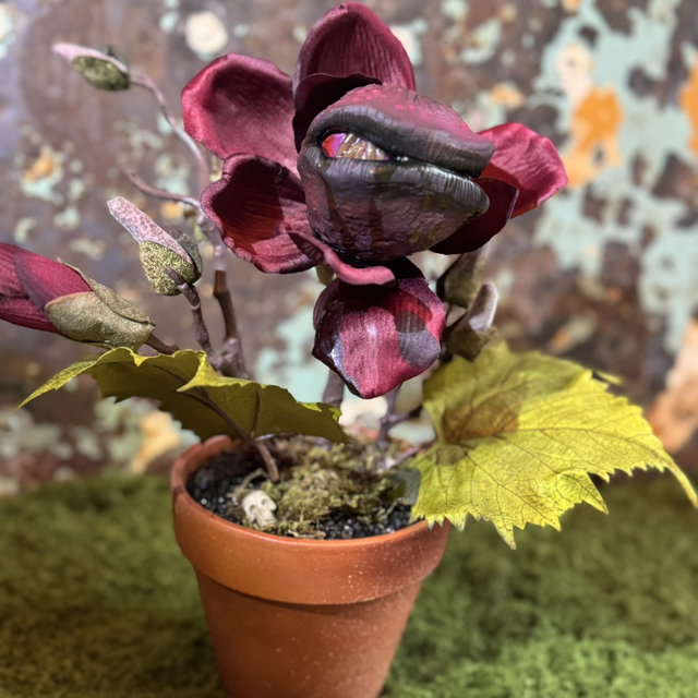 3.🌱 Specimen Name: The Crimson Maw