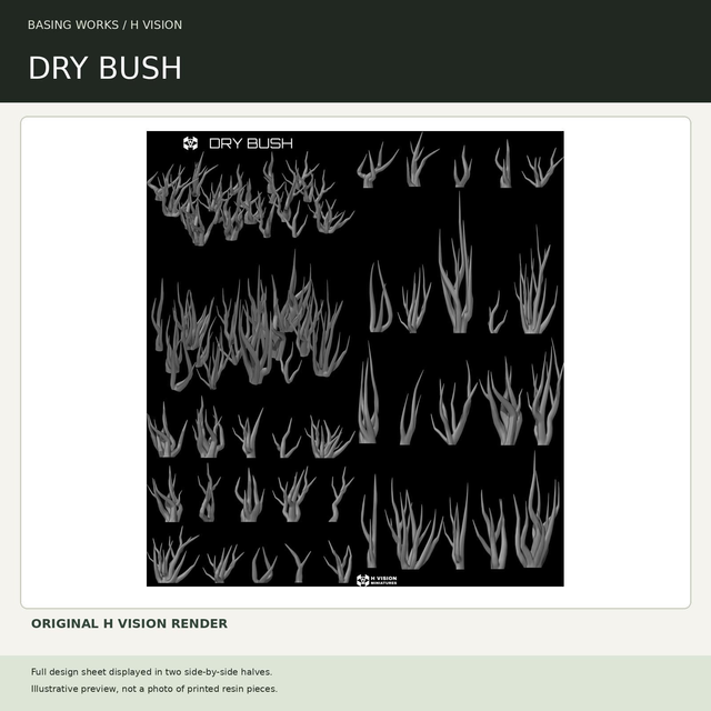 H Vision - Dry Bush