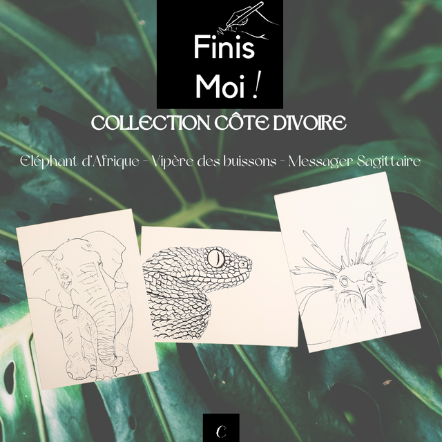 Collection Côte d’Ivoire - lot 2