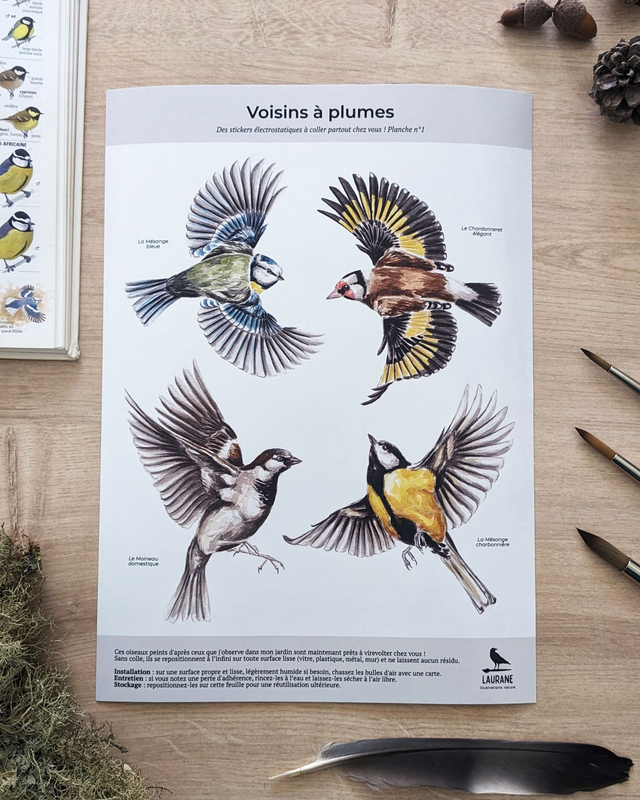 Planche de 4 stickers électrostatiques - Voisins à plumes n°1