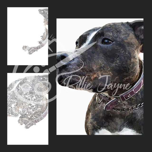 Pet Prints