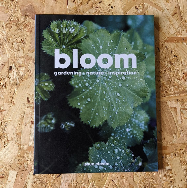 Bloom - Issue 11