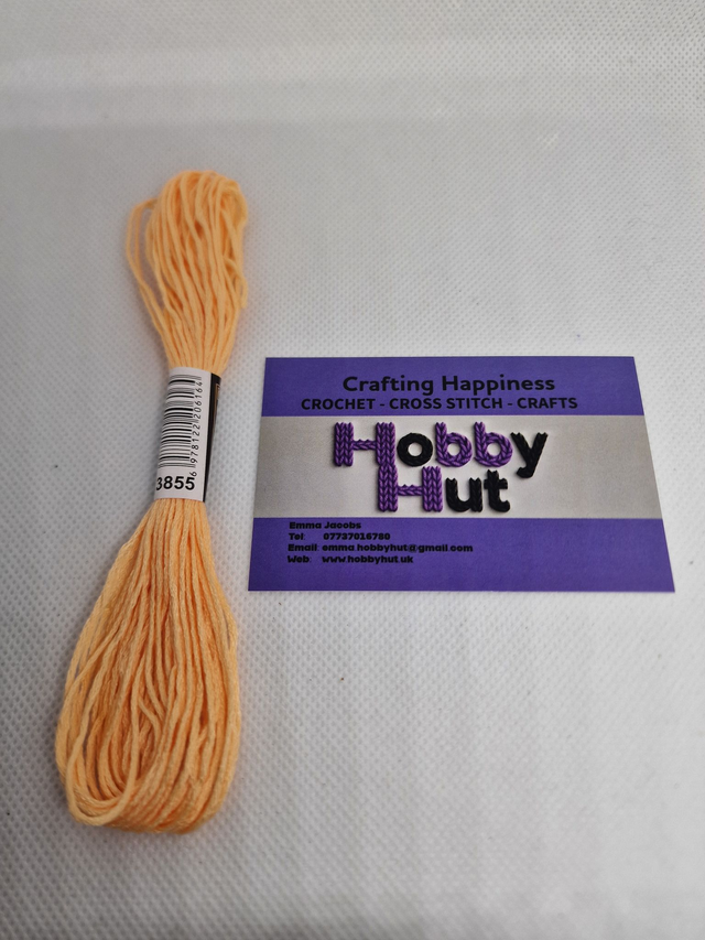 Embroidery Thread - 3855