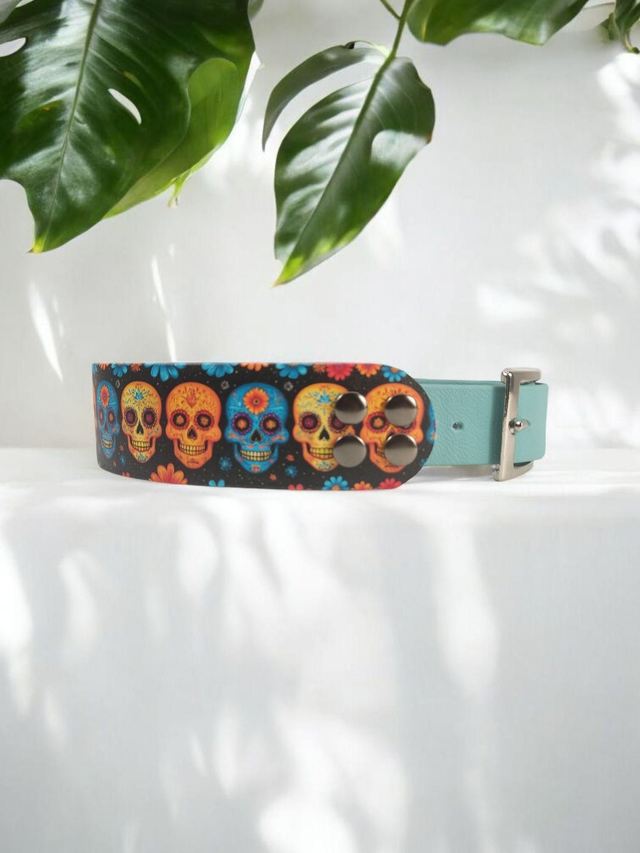 Collier pour chien en BioThane® Original USA. Calaveras C294 / Bleu Polaire 