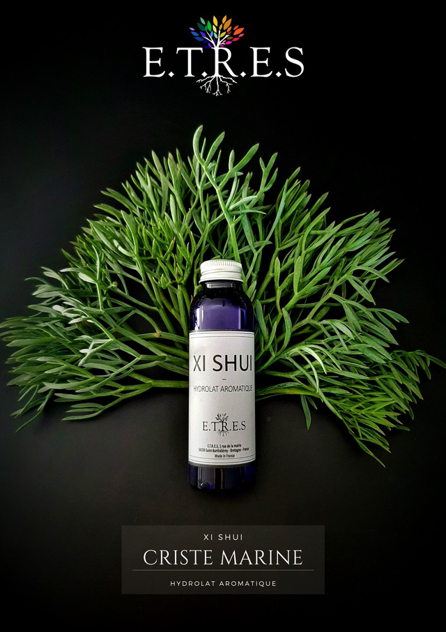 Hydrolat Criste Marine