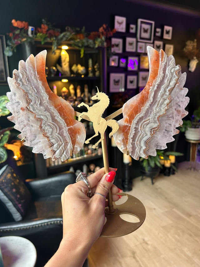 Orange Agate Unicorn Wings 728g • 28x28cm • B32B • 