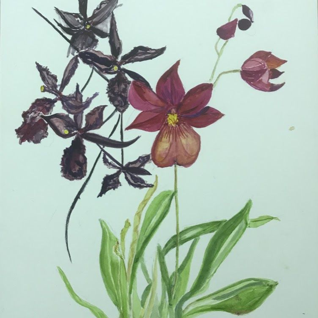 Thursday Botanical Group