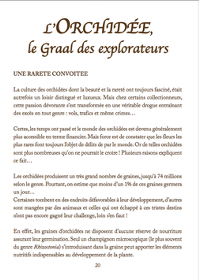 LES PLANTES A LA FOLIE