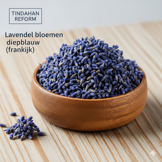 Lavendel bloemen diepblauw (frankrijk) 
