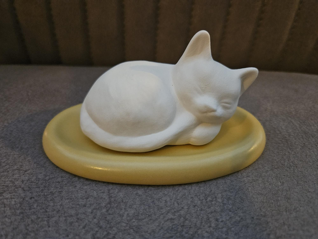 Aromasteen poes slapend met gele onderlegger