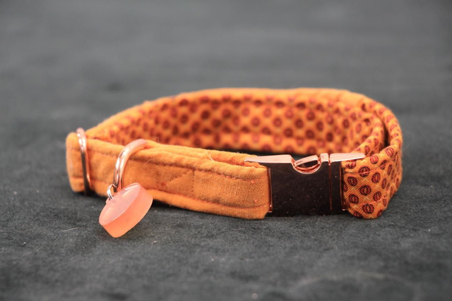 Collier Petit Chien ◾️Bicolore 