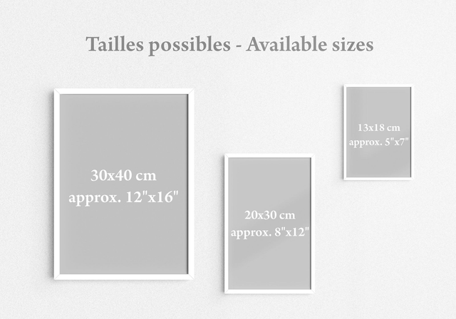 Poster d'un éléphant