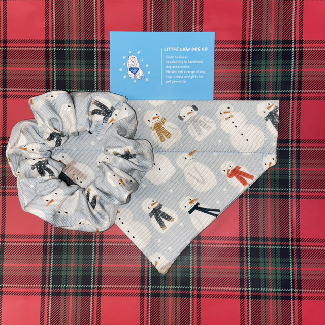 Sky Blue Snowmen Handmade Dog Accessories