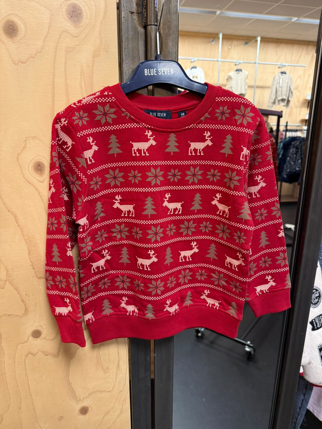 Sweater christmas - rood