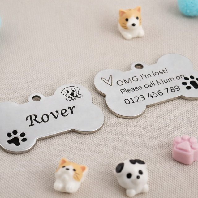 Everlasting Love Stainless Pet Tag