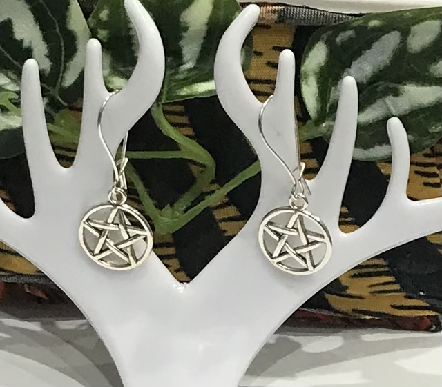 Silver Dangling Earrings- SDE44