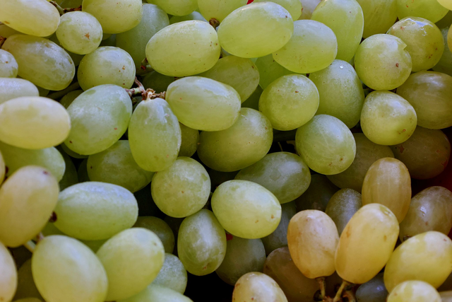 Weintrauben