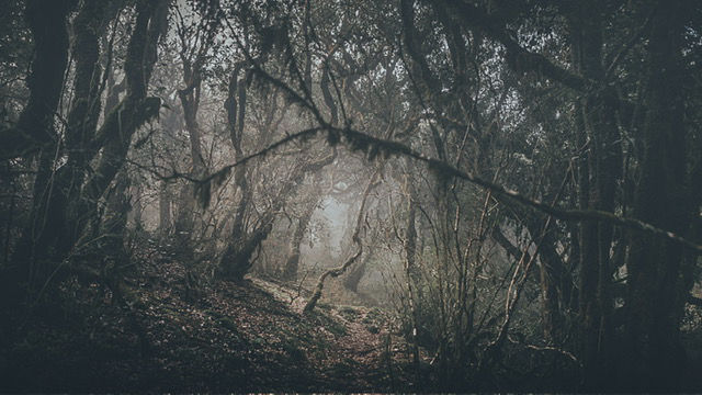 Caught in the middle 