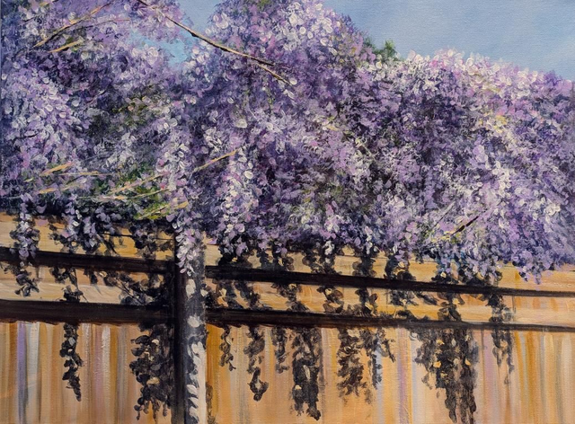 Wisteria over the garden fence