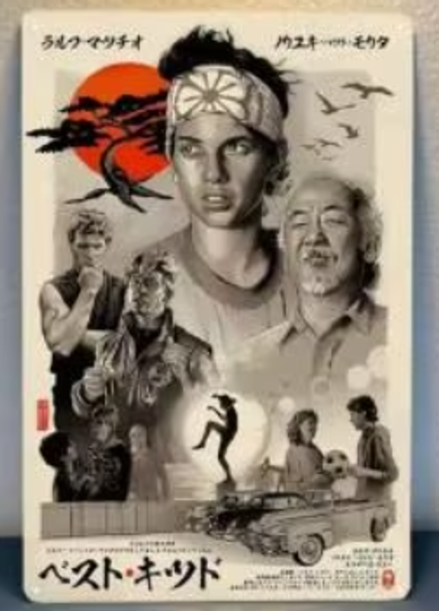 Vintage metalen bordje Karate Kid (30x20cm)