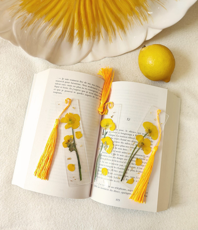 Marque-page avec vraies fleurs pressées