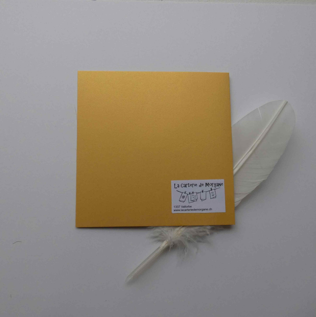 Une étoile de Noël