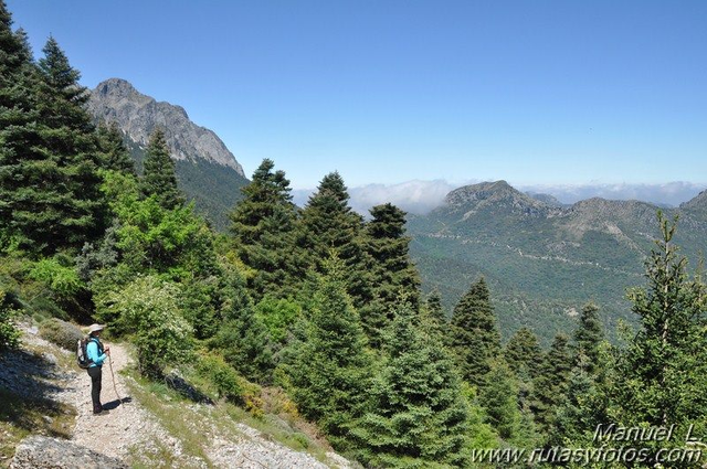 Grazalema: Cuevas, Barrancos y Pinsapar