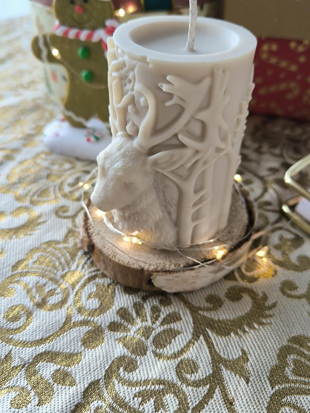 Clairiére enchantée