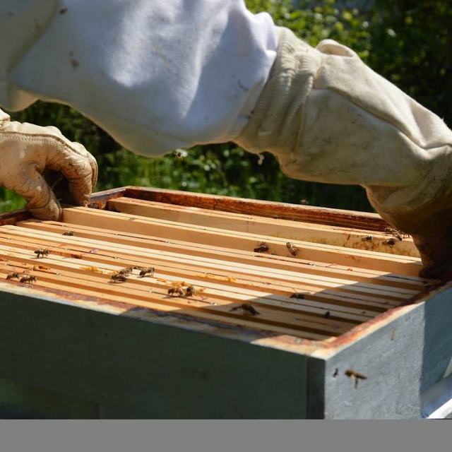 Formation "Les clefs de la Ruche"